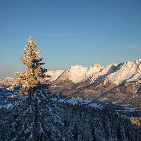 Das Stefan - Ferienwohnungen In Den Kitzbueheler Alpen 蒂罗尔州奥伯恩多夫 外观 照片