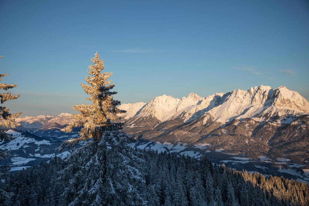 Das Stefan - Ferienwohnungen In Den Kitzbueheler Alpen 蒂罗尔州奥伯恩多夫 外观 照片